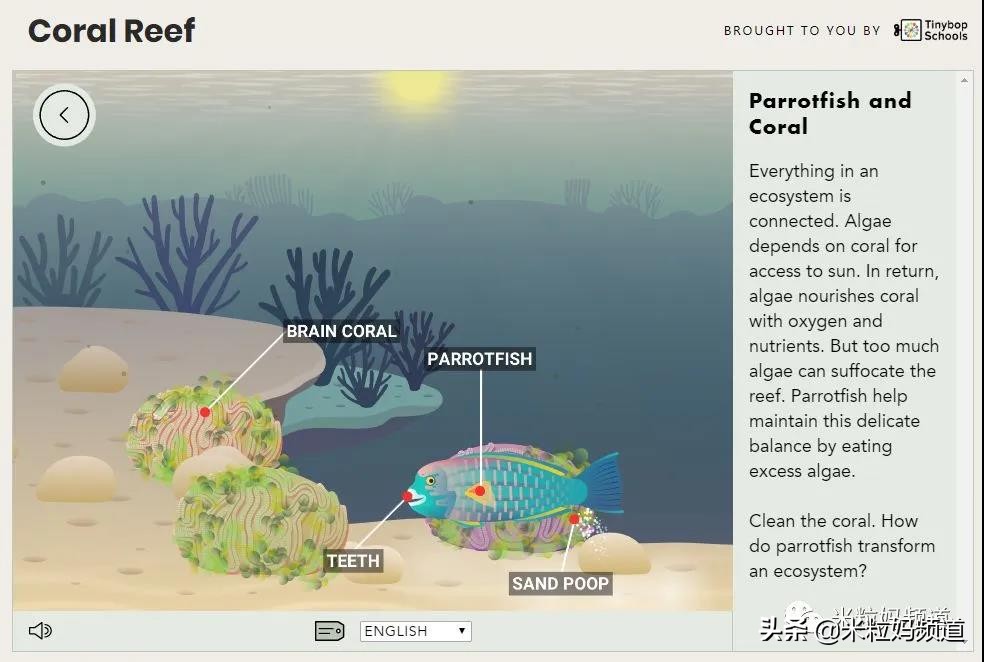 比较有意思的外国网站,有哪些有趣的国外网站