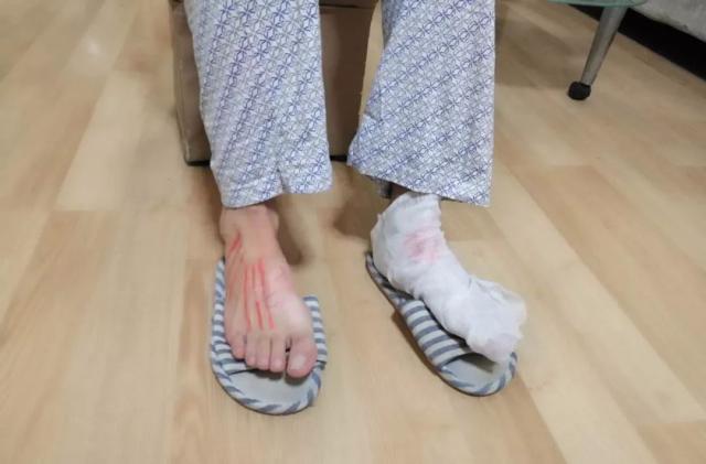 看到自家猫心情都会很好,这样的猫你会想养一只吗