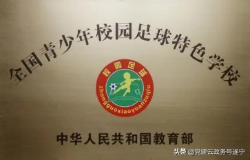 绿茵放飞梦想,中国青少年校园足球发展规划