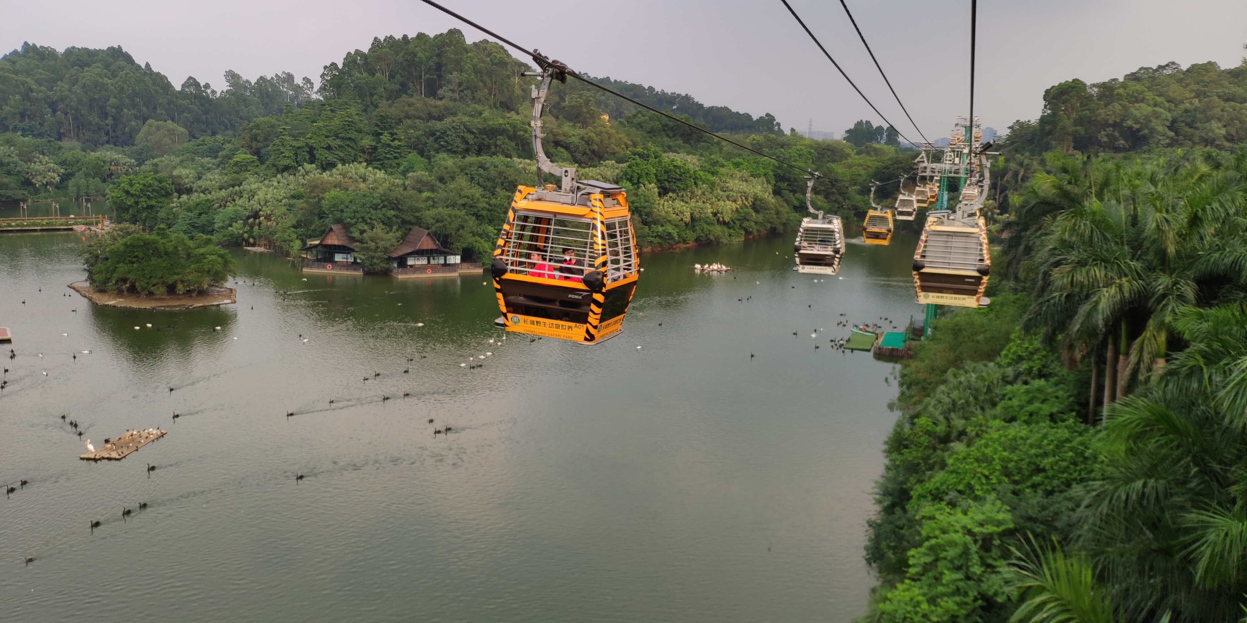 暑假带娃去广州长隆野生动物世界,周末亲子时光广州长隆野生动物园