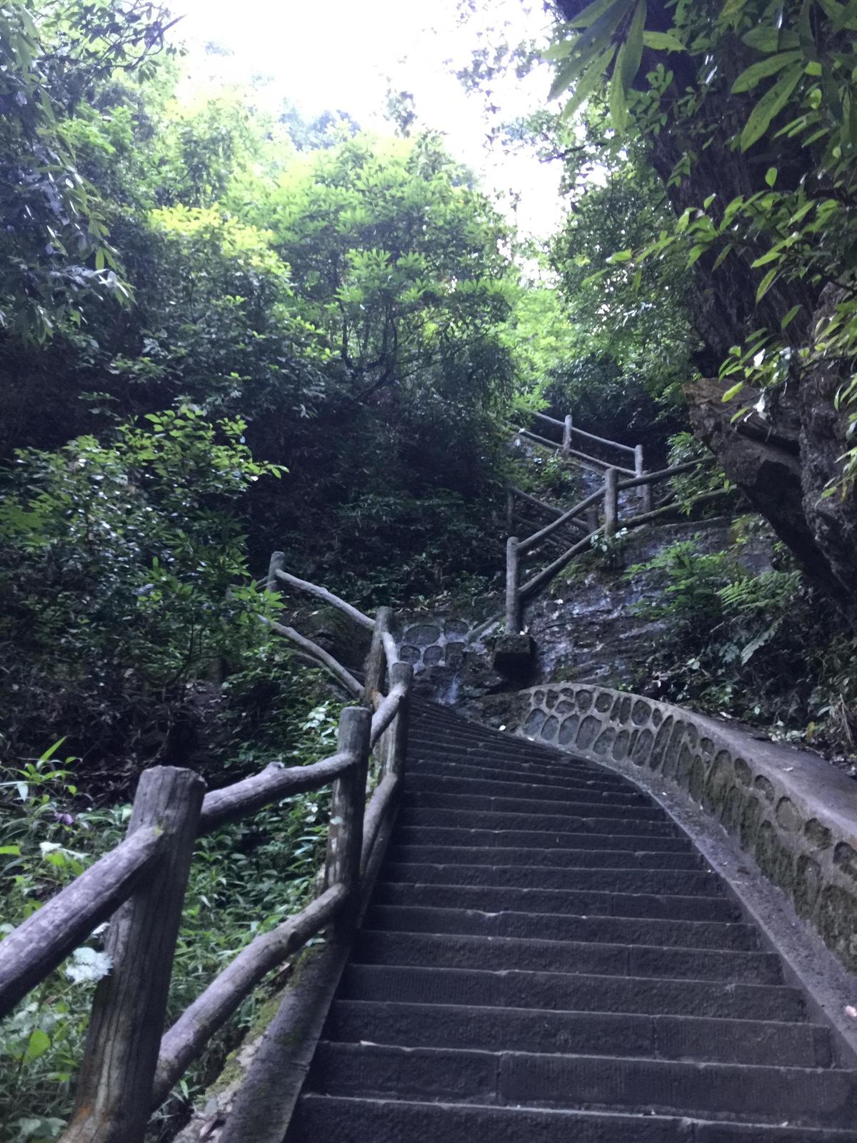 峨眉山登顶佛像,峨眉山登顶记完整版