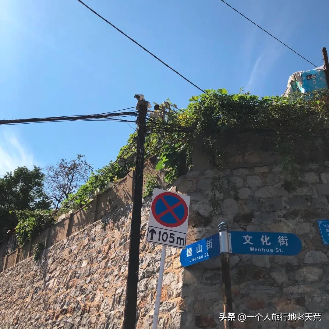 北方这座海滨老城，樱花不输日本，浪漫更胜巴黎