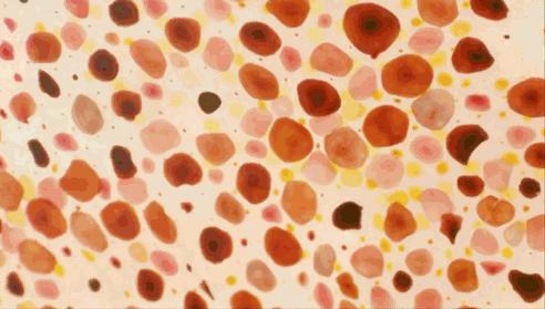 刘亦菲早期仙气照,刘亦菲仙姿玉色美到窒息