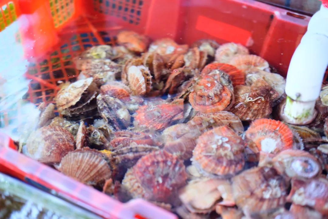 旅行清单青岛,青岛旅游攻略结束语