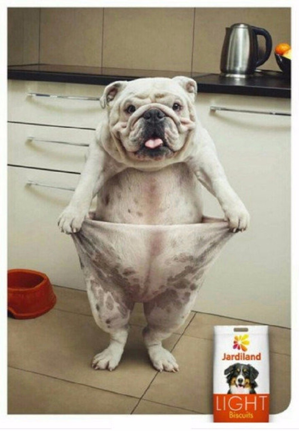 简单的广告创意设计图片,经典平面广告设计作品赏析