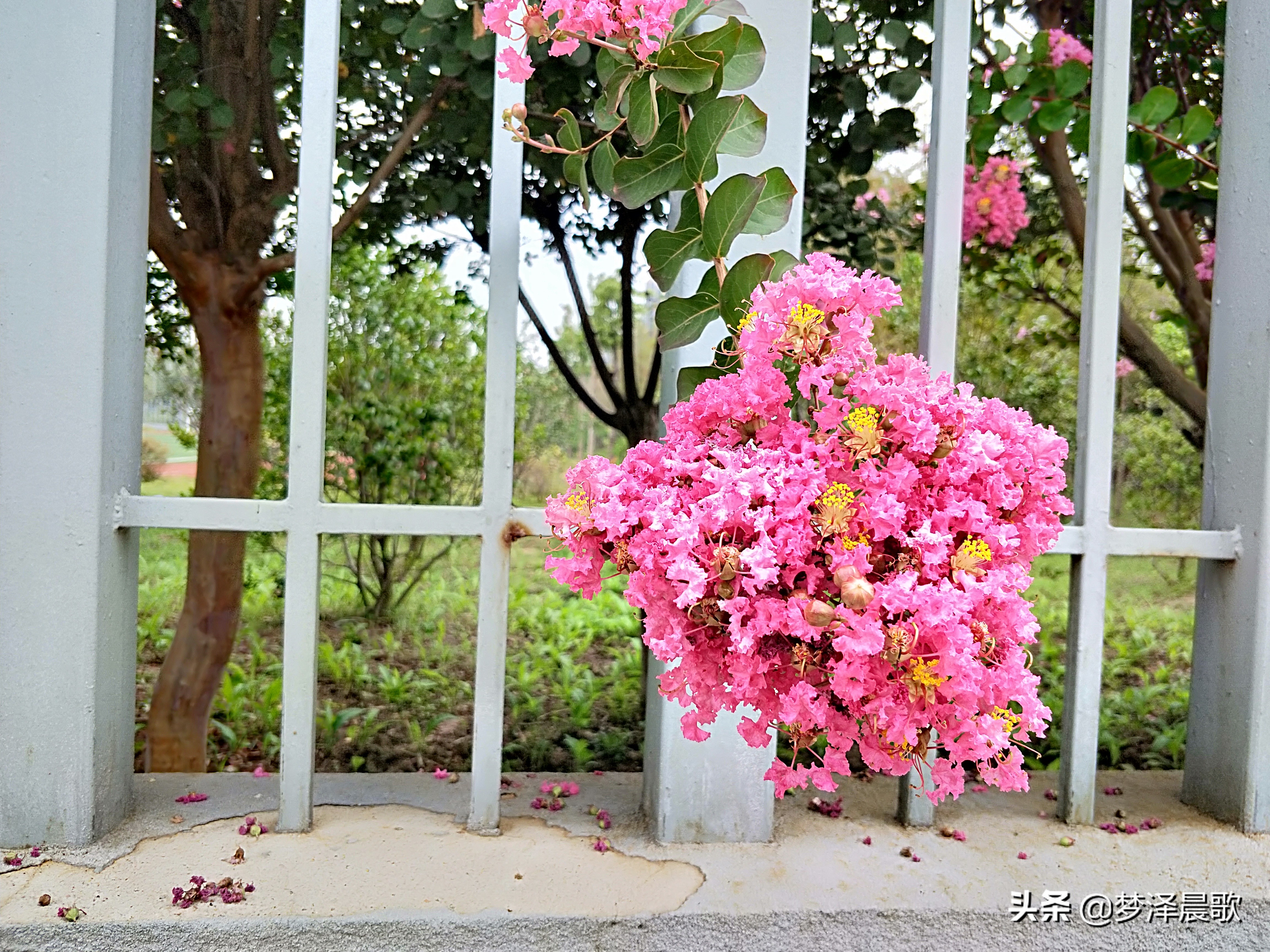 云梦县黄香小学好吗,云梦县黄香小学全貌图