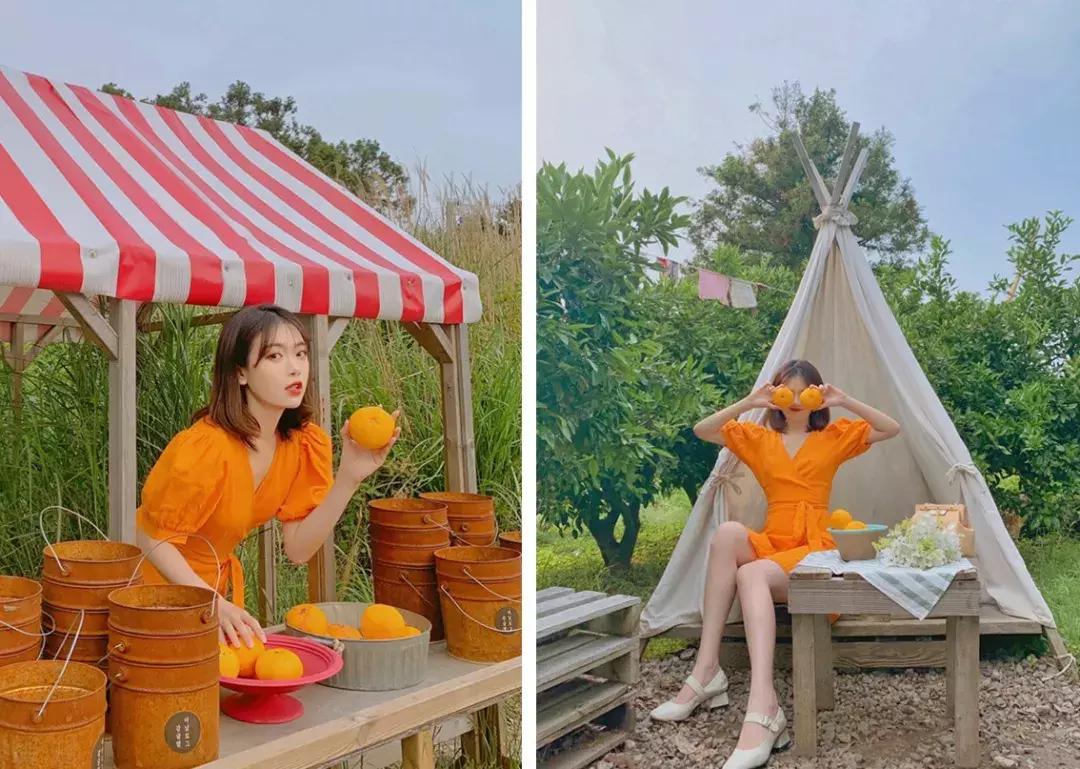 济州岛和夏威夷对比,济州岛最新海岛