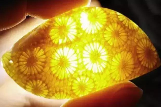 珊瑚玉怎么分辨品质好坏,珊瑚玉珠怎么辨真伪