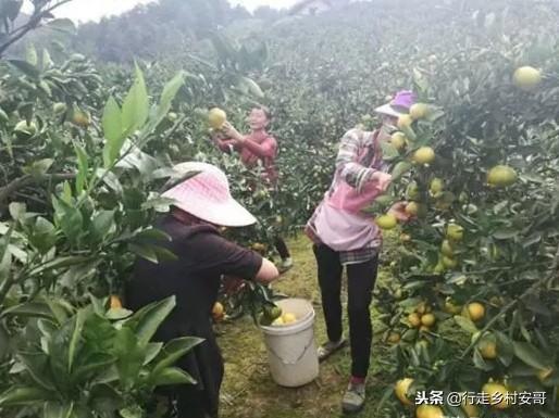 厌倦了只想赚钱,厌倦了不想上班