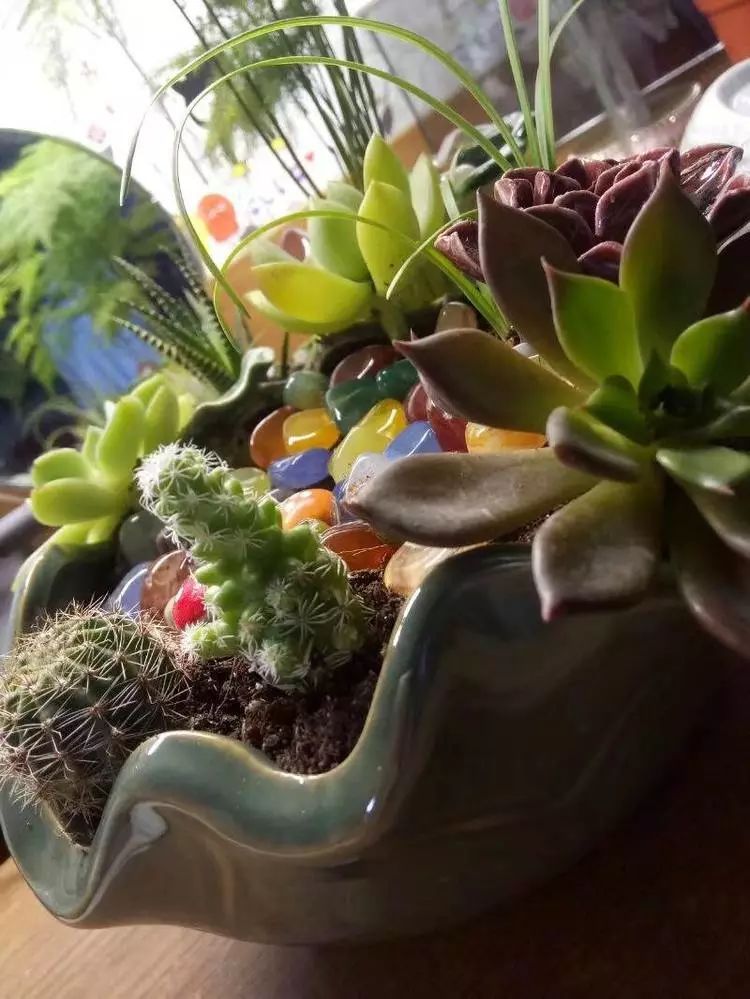 大四老学姐的寝室生活,养肉路上的真实感受