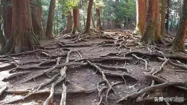 学地质必须学地理吗,学地质真的有宝石吗