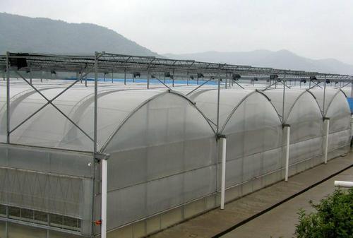 1000平米薄膜温室大棚造价,上海薄膜温室大棚造价一亩多少钱