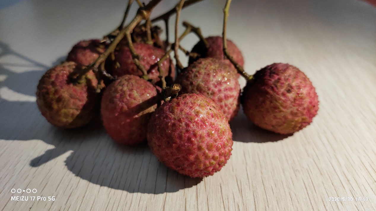 魅族17pro配置参数详情,魅族17pro网络信号频繁掉线