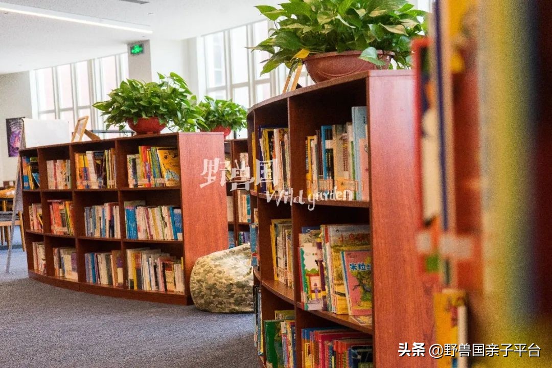 一年20万学费的清澜山学校,都在学些什么?