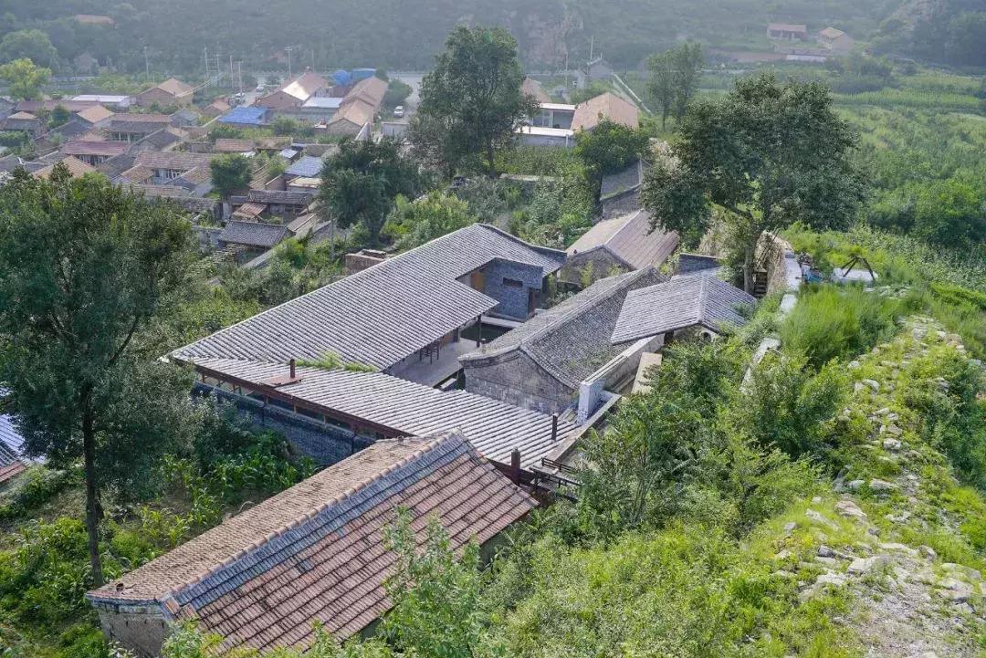 这才叫生活！山中3年他建了一个漂亮小院，活的比年轻人还酷！