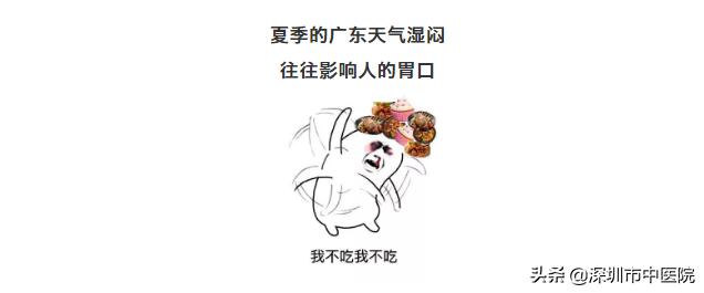 素药膳煲汤健脾养胃,灵芝骨头煲汤健脾养胃