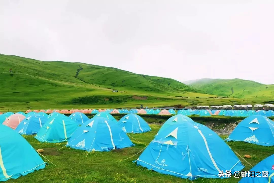 四川若尔盖，中国最美的高寒湿地草原，川西北高原上的绿洲