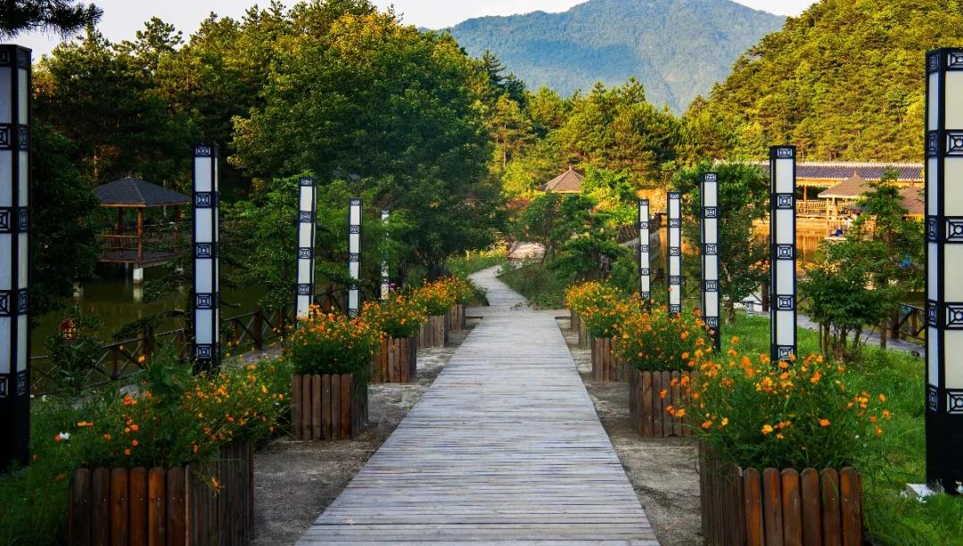 温州旅游景区排行榜前十名,温州十大免费景区排行榜最新