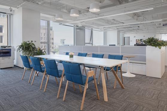 立信会计师事务所环境,立信会计师