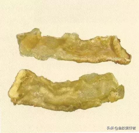 哪种鱼胶最好7种鱼胶的分类,鱼胶知识与食用方法
