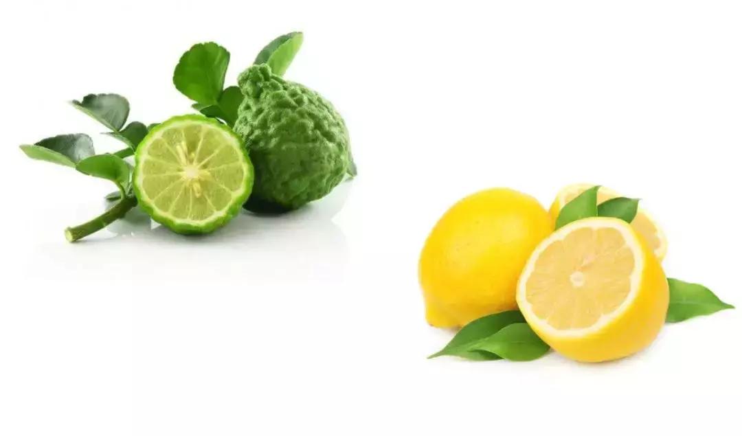 澳洲茶树祛痘膏欧阳娜娜,澳洲欧阳娜娜