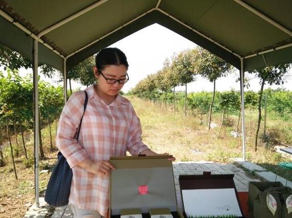 80后女生的创业之路视频,80后农村女孩创业