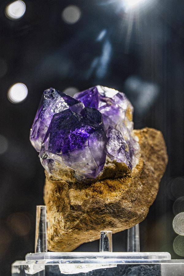 武汉奇特博物馆,武汉奇妙博物馆