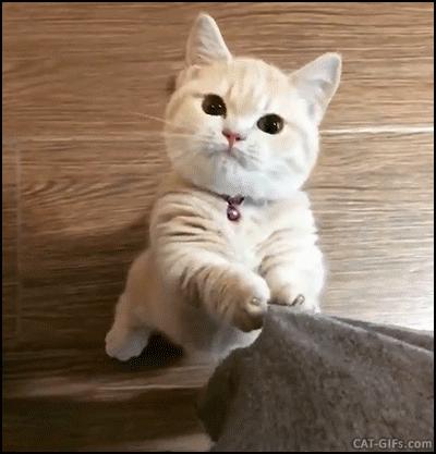 带这些东西回学校舍友们馋哭了,又好吃又小又能带到学校的零食