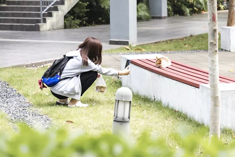 深圳有个建在“空中”的大学，拍照美到爆！