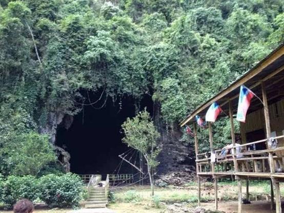 燕窝知识儿童篇,你不知道的营养知识