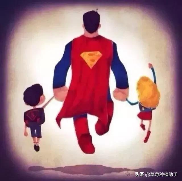 种草莓的都是好男人！转起来，让大家看到！