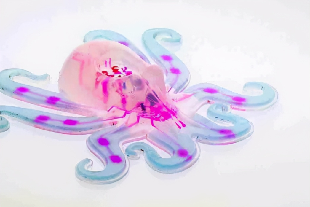 十大机器人发明视频,各个国家发明的机器人