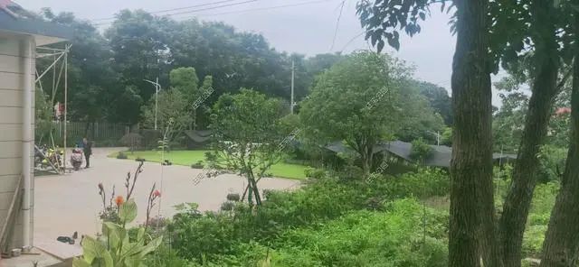 湖南陈先生30万自建农村小平房，有假山有菜园，占地1亩就是爽