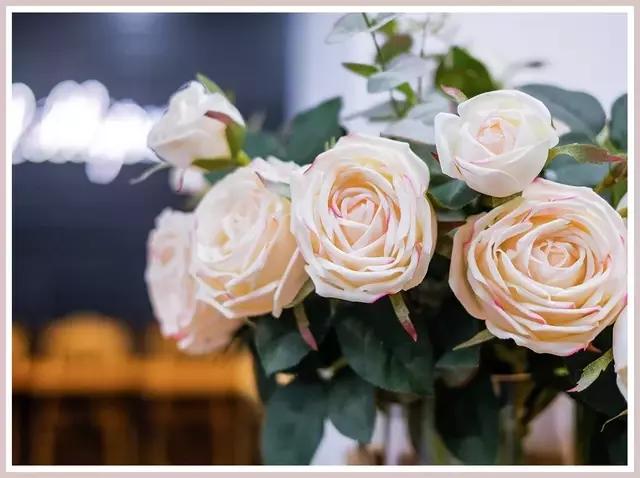 魔都赏花旅游攻略,魔都春季赏花好地方