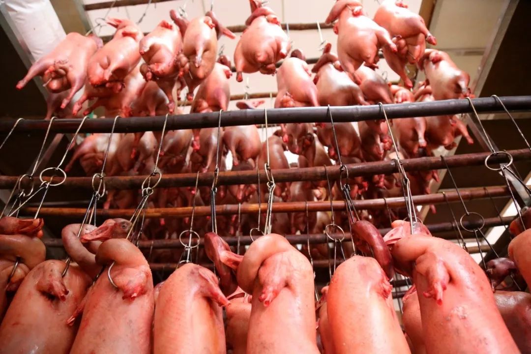 淘宝吃货推荐店在哪里,好吃的淘宝美食