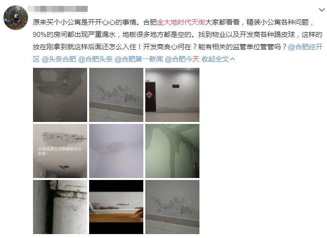 黑心开发商外墙漏水,金大地财务造假事件