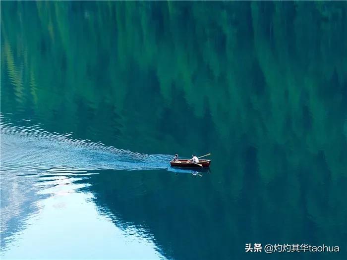 中文到底有多美这篇文章告诉你,中文到底有多美原文