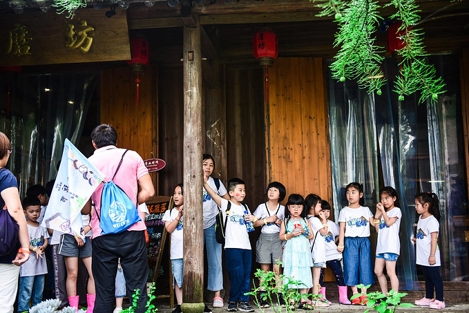 乌村暑期夏令营，吃喝玩乐在这里