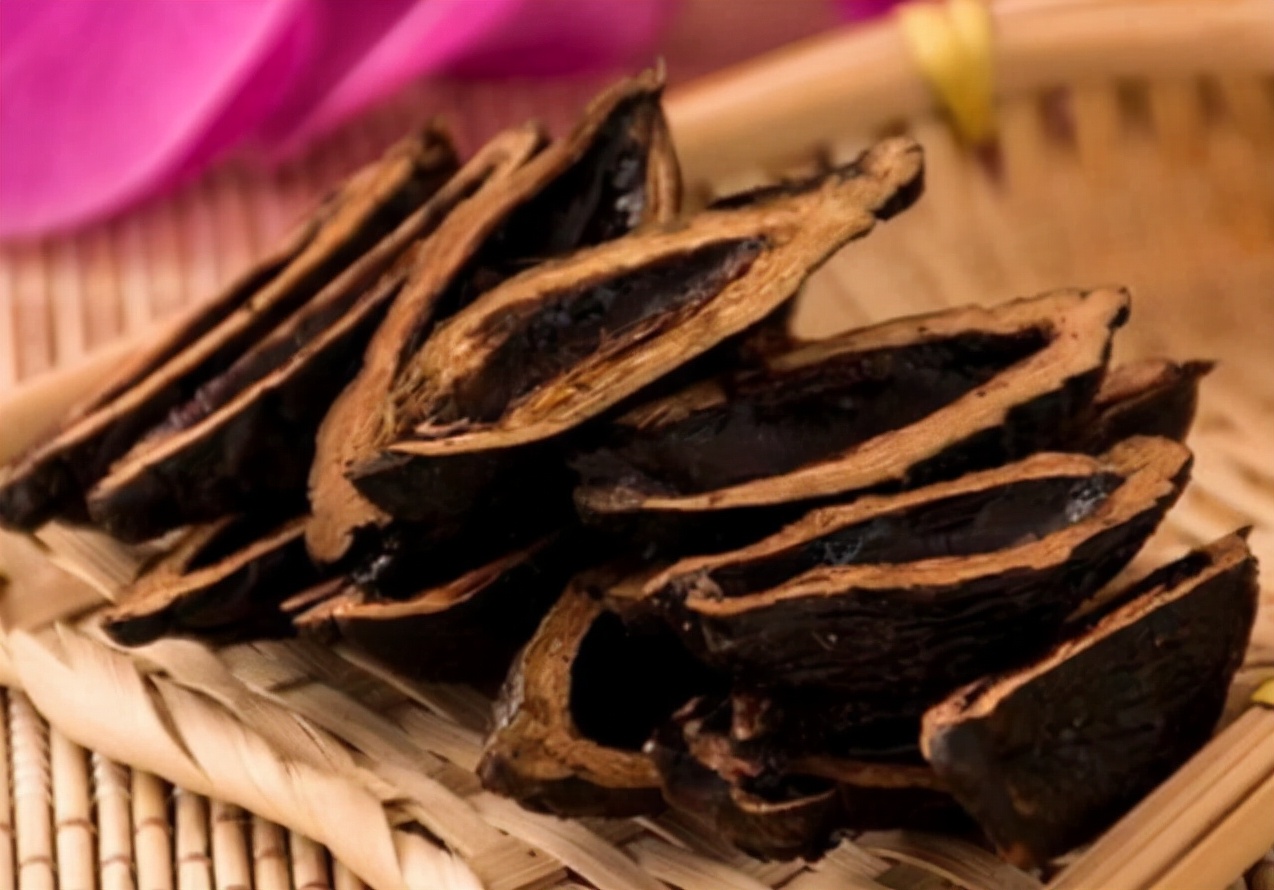 印度的恶魔果实槟榔,恶魔的果实槟榔科普