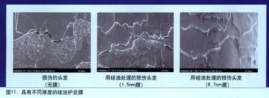 鎶ゅ彂纭呮补,纭呮补涓轰粈涔堣兘鎶ゅ彂