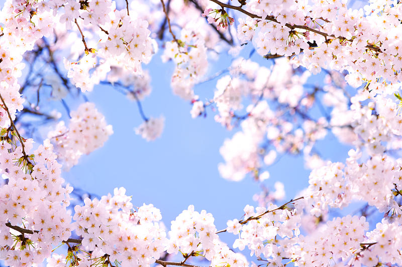 期货基本面分析,基本面分析方法什么意思