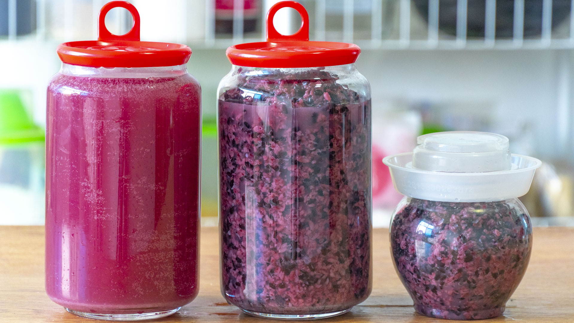 秋冬几款养生食谱推荐给你,冬季养生指南及食谱