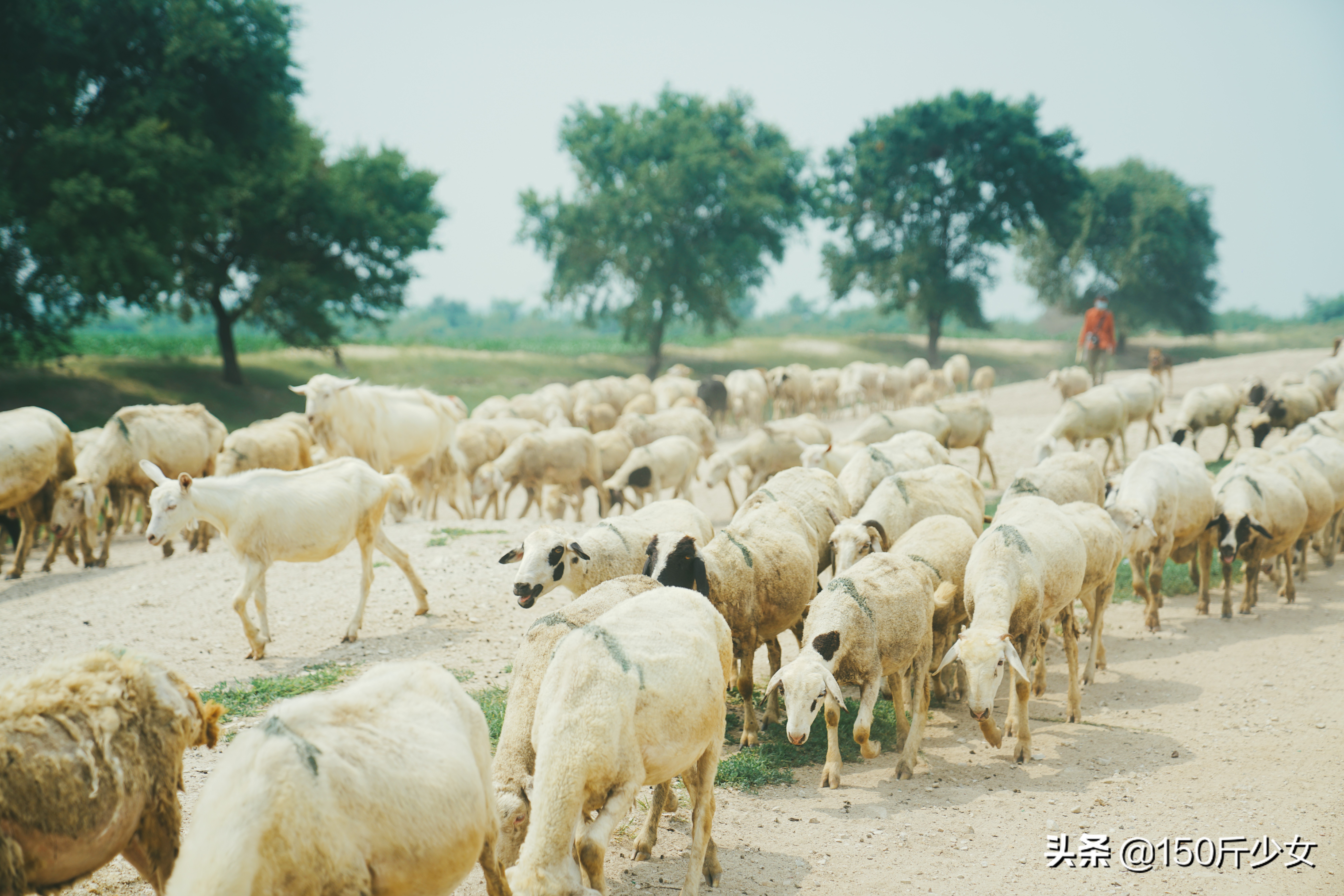 国庆吉林出发2-3天自驾短途旅游,吉林5天4晚自由行