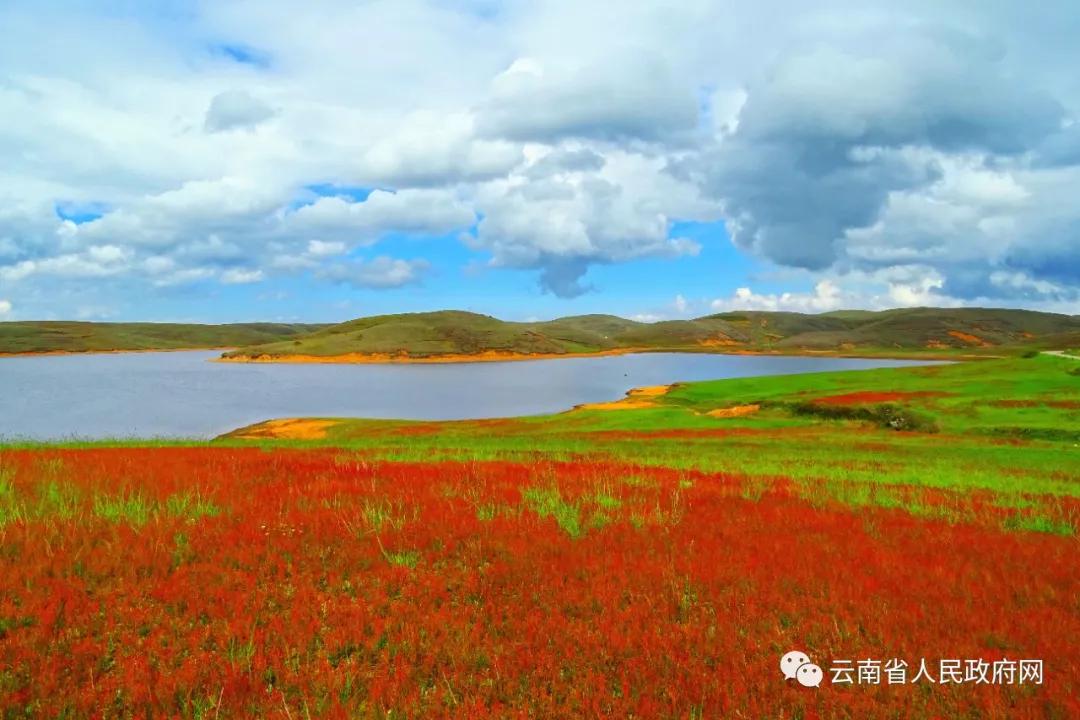 云南生物多样性保护工作,广州生物多样性保护工作亮点纷呈