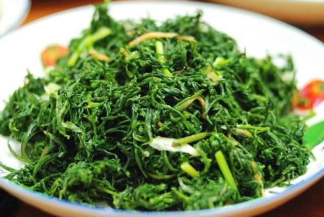 翅碱蓬为什么秋季变红,翅碱蓬退化