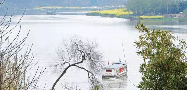 成都周边春季徒步旅游攻略,成都森林徒步旅游攻略