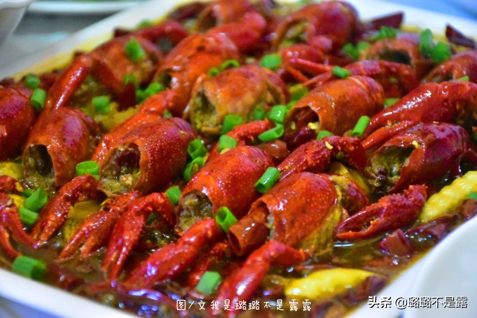 检验鱼最好的方法,怎样鉴别鱼是否是健康的