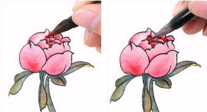 工笔画上色技巧及方法,工笔画染墨色完整步骤