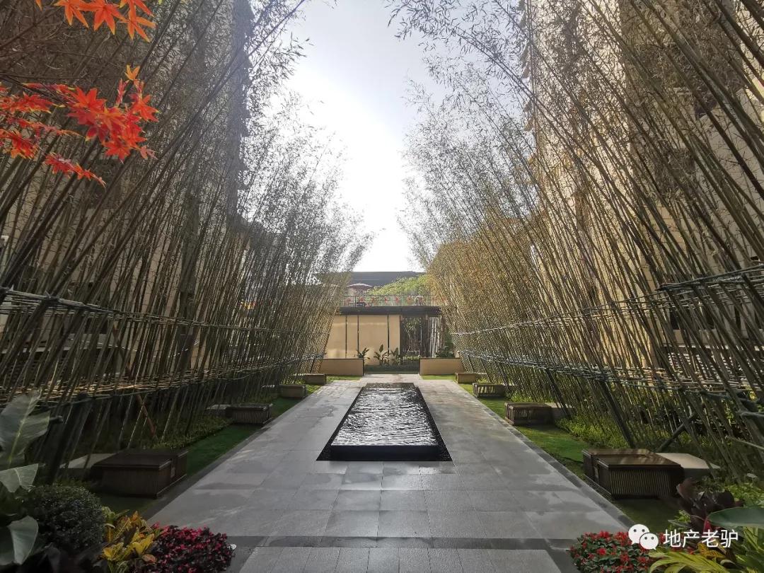 彰泰楼盘2024年交房,彰泰楼盘