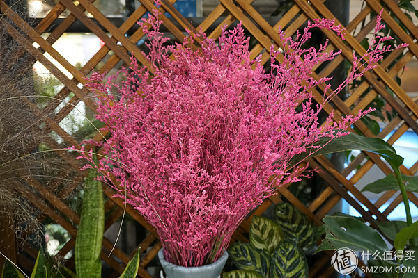 p20徕卡镜头,p20徕卡相机